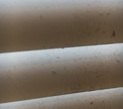 Cook's Professional Cleaning Services - Commerce, GA. Most blinds looked like this after Cook’s supposedly cleaned