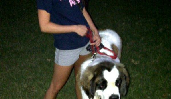 Prestigious Pets Dallas Dog Walking, Running and Pet Sitting Services - Dallas, TX