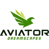 Aviator Dreamscapes gallery