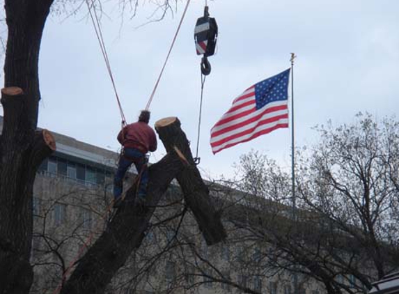 Patrick Musser Tree Service Inc.