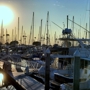 Cerritos Bahia Marina