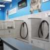 Pet Supplies Plus gallery