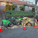 Urban Timber Tree Service Inc - Arborists