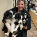 The Scottsdale Veterinary Clinic - Veterinarians