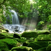 Gallery Image Number 7