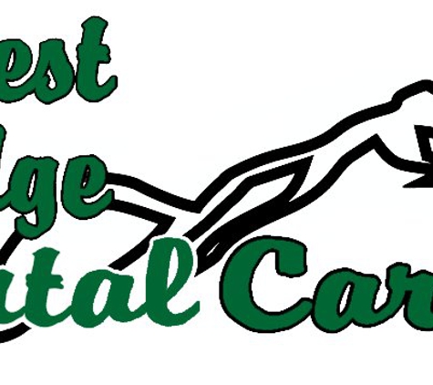 Forest Edge Dental Care - Woodland Park, CO