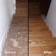 Hardwood Floor Svc Inc