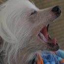 The Cranberry Dog - Dog & Cat Grooming & Supplies