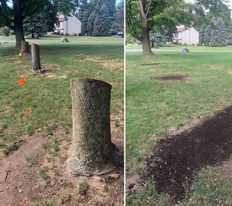 Stump Wrecker - Latham, NY. Stumps Removed East Greenbush NY