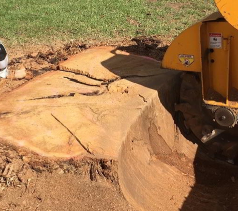 Albury Wodonga Tree & Stump Removal - Staghorn Flat, VIC