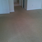 Bee Dry Carpet Cleaning