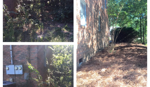 3in1 Landscape Management - Blythewood, SC