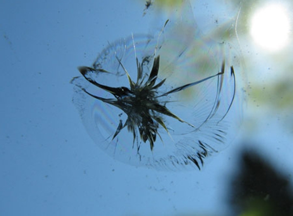 CQ Glass Screens & Tinting - Paget, QLD