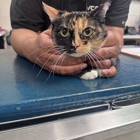 VCA Venture Animal Hospital