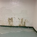 Guaranteed Property And Mold Inspection - Mold Testing & Consulting