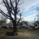 Tree & Land Masters, LLC - Tree Service