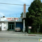 Lucky Dog Grooming Company