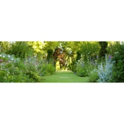 Gallery Image Number 2