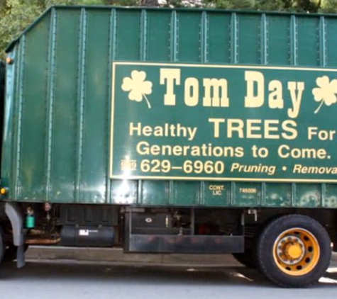 Tom Day Tree Service - Upland, CA