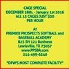 Premier Prospects Softball and Baseball Academy gallery