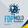 FDP Mold Remediation of Bronx gallery