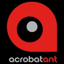 AcrobatAnt - Marketing Programs & Services