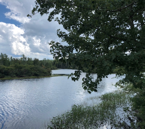 Wild Center - Tupper Lake, NY