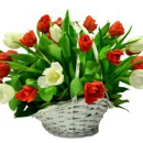 Milford Bloom Fresh Florist - Florists