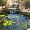 Tim's Aquarium & Pond Service gallery