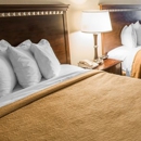 Quality Suites Universal South - Motels