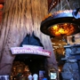 Bass Pro Shops