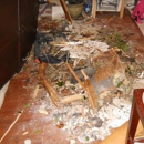 SERVPRO of Savannah - Fire & Water Damage Restoration