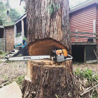 Gravity Tree Worx - Nerrina, VIC