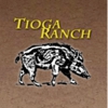 Tioga Boar Hunting gallery