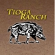 Tioga Boar Hunting