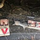 Natural Rodent Control - Pest Control Equipment & Supplies