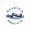Mountain Mobile IV gallery