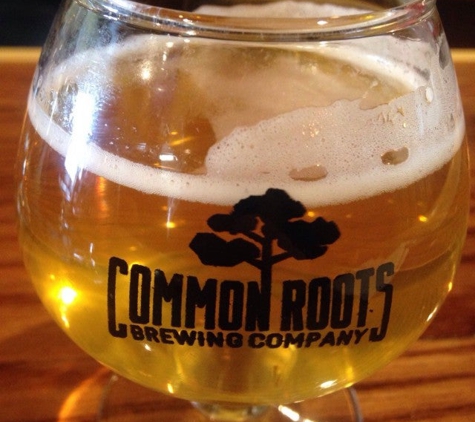 Common Roots Brewing Co - South Glens Falls, NY