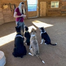 Marvin Pierce Dog Teacher - Pet Boarding & Kennels
