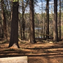 Stony Brook Acres - Farms