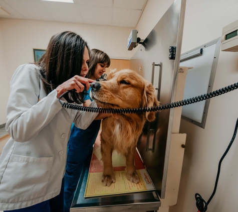 Fallston Veterinary Clinic - Fallston, MD