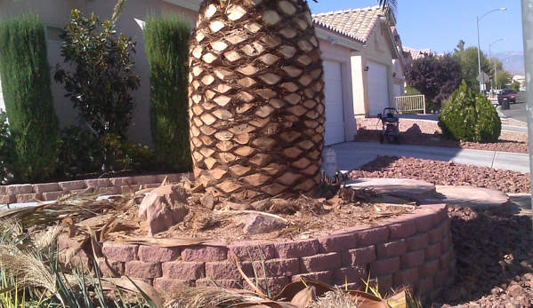 Pedros Tree Trimming - Las Vegas, NV