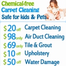 Carpet Cleaning The Woodlands TX - Carpet & Rug Cleaners