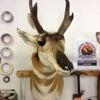 Brownsburg Taxidermy gallery