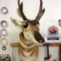 Brownsburg Taxidermy