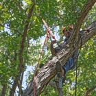 Omni Tree Service, Inc.