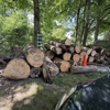 Anthony's Tree Service & Landscape gallery