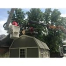 JB Tree Service - Tree Service