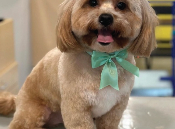 Well Groomed Pets - Raleigh - Raleigh, NC