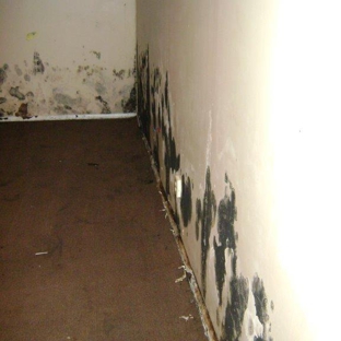 Professional Restorations - Baltimore, MD. Mold Remediation